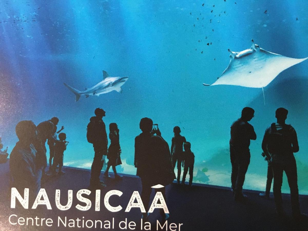 Studio " Escale En Bord De Mer " วีเมอเรอ ภายนอก รูปภาพ